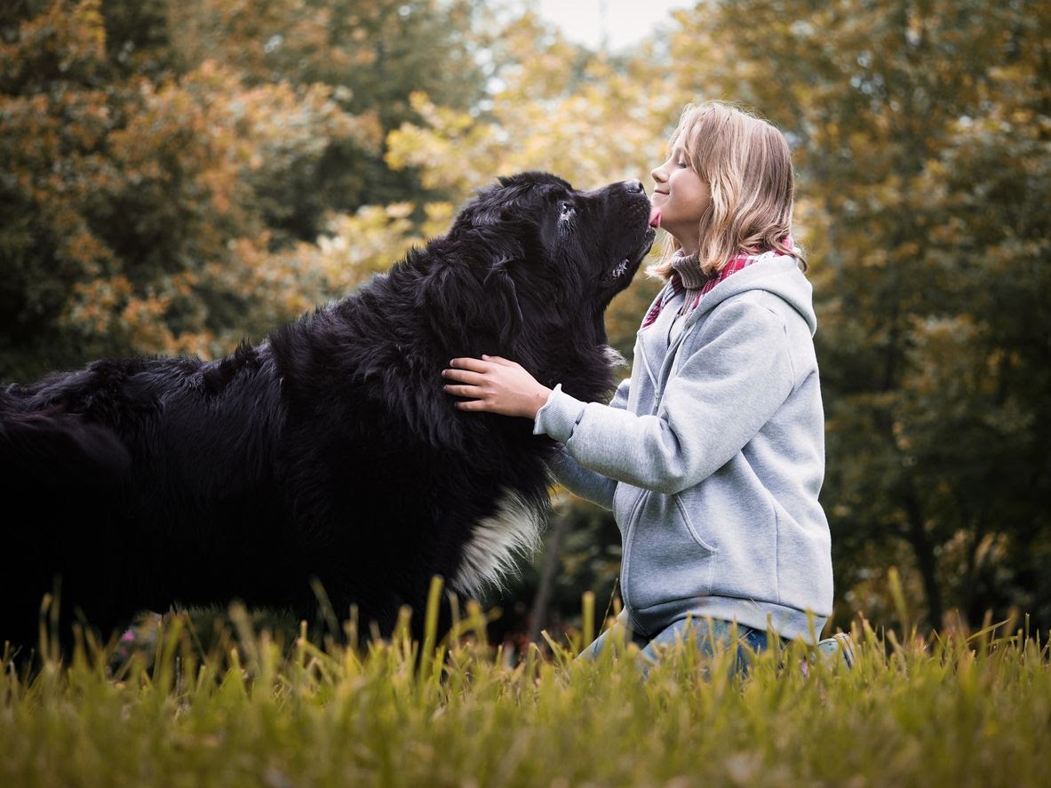 mladé dievča hladká veľkého čierneho labradora  