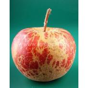 Mączniak jabłoniowy