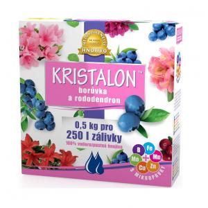 Kristalon borówka i rododendron