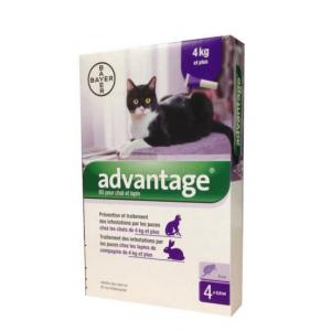 Advantage s.o. cat a.u.v. od 4kg