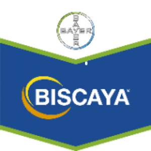 Biscaya 240 od