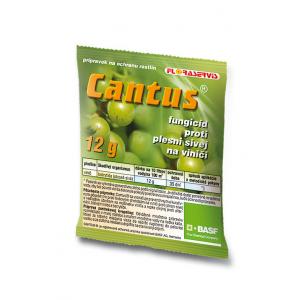 Cantus