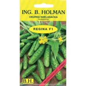 Cucumber Holman - Regina F1 hr 2 g