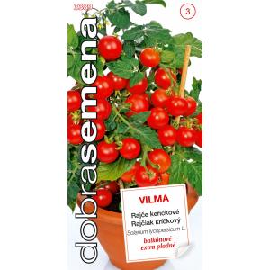 Dobre nasiona Pomidor balkonowy - Vilma 50s