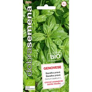 Dobre nasiona Bazylia - Genovese Bio 0,6 g