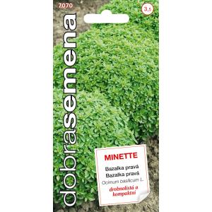 Dobre nasiona Bazylia - Minette 0,6g