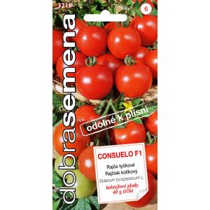 Dobre nasiona Koktajl pomidorowy na patyku - Consuelo F1 10s