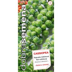 Good Seeds Brukselka - Cassiopea 0,7g