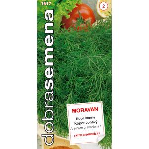 Dobre nasiona Koper pachnący - Moravan 3g