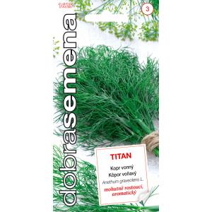 Dobre nasiona Koper pachnący - Tytan 4g