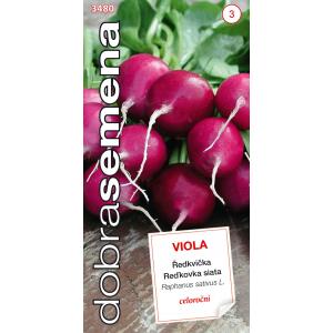 Dobre nasiona Rzodkiewka purpurowa - Viola bylina 4g