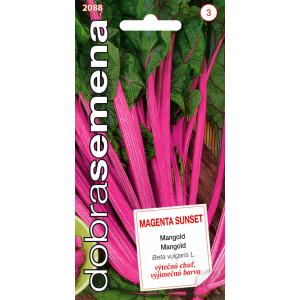 Dobre nasiona Mangold - Magenta Sunset 2,5 g