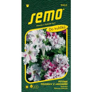 Petunia grandifolia - Pozdrowienia z Jaromierza 50p
