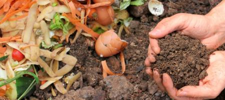 Jak zrobić własny kompost w ogrodzie?