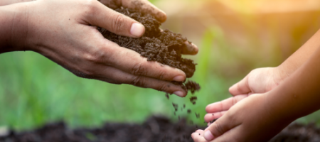 Życie w glebie - bakterie to najbardziej ekologiczna ochrona przed chorobami i szkodnikami