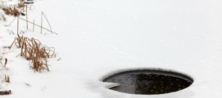 Zimowanie stawu ogrodowego i oczka wodnego krok po kroku