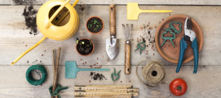 Jak dezynfekować narzędzia ogrodowe?