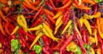 Uprawa własnych ostrych papryczek chilli: jak to zrobić?